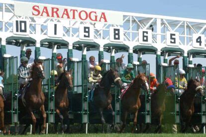 exotic wager calculator|racing dudes wagering calculator.